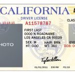 10 California Drivers Id Template Psd Images – California Drivers With Regard To Fake Business License Template