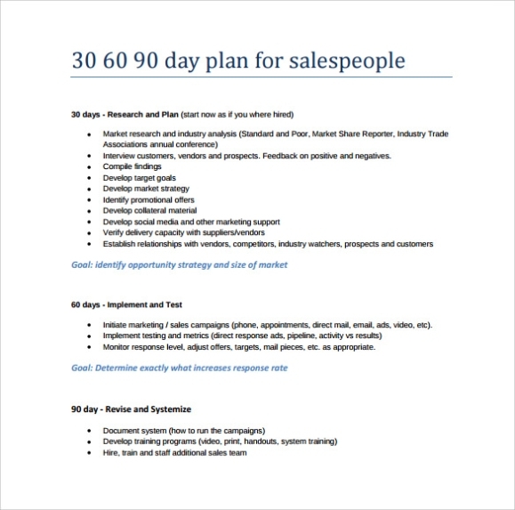 11+ 30 60 90 Day Plan Samples | Sample Templates Within Business Plan For Sales Manager Template