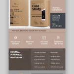 30 Creative Indesign Business Proposal Templates (Free + Premium For 2020) throughout Business Proposal Indesign Template