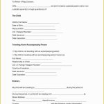31 Free Child Travel Consent Form Template Pdf | Heritagechristiancollege In Notarized Letter Template For Child Travel