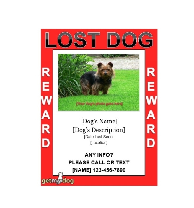 40 Lost Pet Flyers [Missing Cat / Dog Poster] - Templatearchive inside Missing Dog Flyer Template
