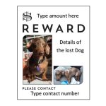40 Lost Pet Flyers [Missing Cat / Dog Poster] – Templatearchive Pertaining To Missing Dog Flyer Template