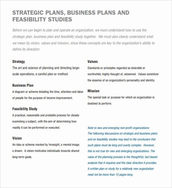 40 Non Profit Business Plan | Desalas Template Pertaining To Non Profit Business Plan Template Free Download