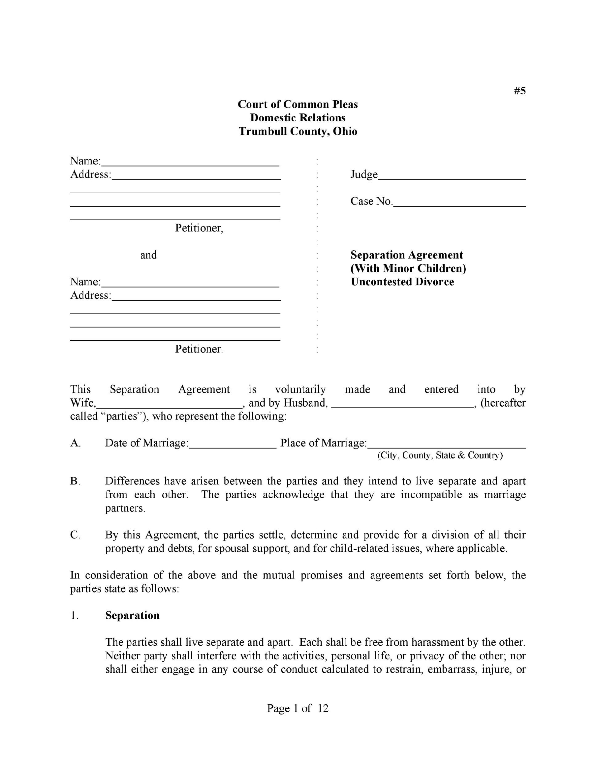 43 Official Separation Agreement Templates / Letters / Forms ᐅ Templatelab Pertaining To Divorce Financial Settlement Agreement Template