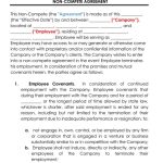 5+ Free Employee Non Compete Agreement Templates With Regard To Free Non Compete Agreement Template