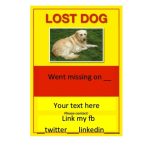 55 Hq Pictures Lost Pet Flyer Template : 20 Beautiful Business Flyer Intended For Missing Dog Flyer Template