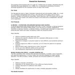 9+ Executive Summary Marketing Plan Examples – Pdf, Word | Examples With Regard To Executive Summary Template For Business Plan