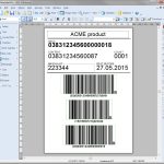 Barcode Labels – Sap S4/Hana In Pallet Label Template