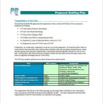 Business Plan Template For Staffing Agency Pertaining To Staffing Agency Business Plan Template
