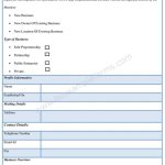 Business Profile Form – Sample Forms In Business Information Form Template