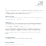 Consulting Proposal Example For Consulting Project Proposal Template