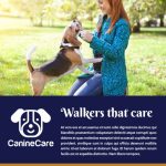 Dog Walking Promo Flyer Template | Mycreativeshop regarding Dog Walking Flyer Template