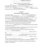 Download Multi Member Llc Operating Agreement Template | Pdf | Rtf Intended For Corporation Operating Agreement Template