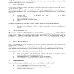 E-Commerce Consultant Business Plan | Legal Forms And Business in Business Plan Template For Consulting Firm