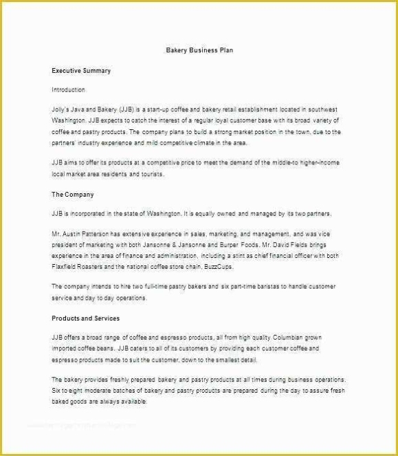Executive Summary Business Plan Template Free Of Construction Executive Intended For Executive Summary Template For Business Plan