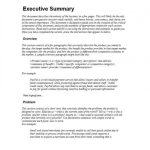 Executive Summary Template | Template Business Inside One Page Business Summary Template