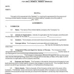 Free 10+ Sample Llc Operating Agreement Templates In Google Docs | Ms For Corporation Operating Agreement Template