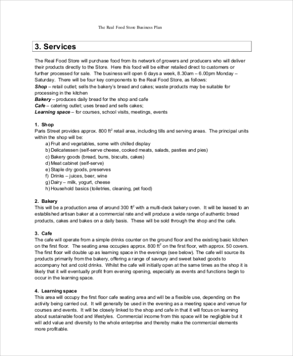 Free 18+ Sample Small Business Plan Templates In Pdf | Ms Word | Google Inside Small Business Administration Business Plan Template