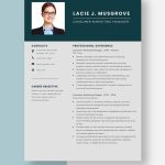 Free Free Consumer Advocate Resume Template - Word, Apple Pages regarding free hardware loan agreement template