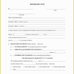 Free Promissory Note Template Illinois Of Free Promissory Note In Promissory Note Template Free Download