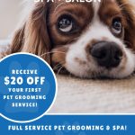 Fresh Dog Grooming Poster Template | Mycreativeshop With Regard To Dog Grooming Flyers Template