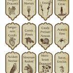 Harry Potter Apothecary Labels Free Printable That Are Epic | Stone Website Inside Harry Potter Potion Labels Templates