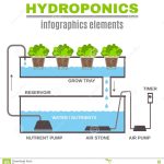 Hydroponic Design Illustration Cartoon Vector | Cartoondealer #74921209 For Aquaponics Business Plan Templates