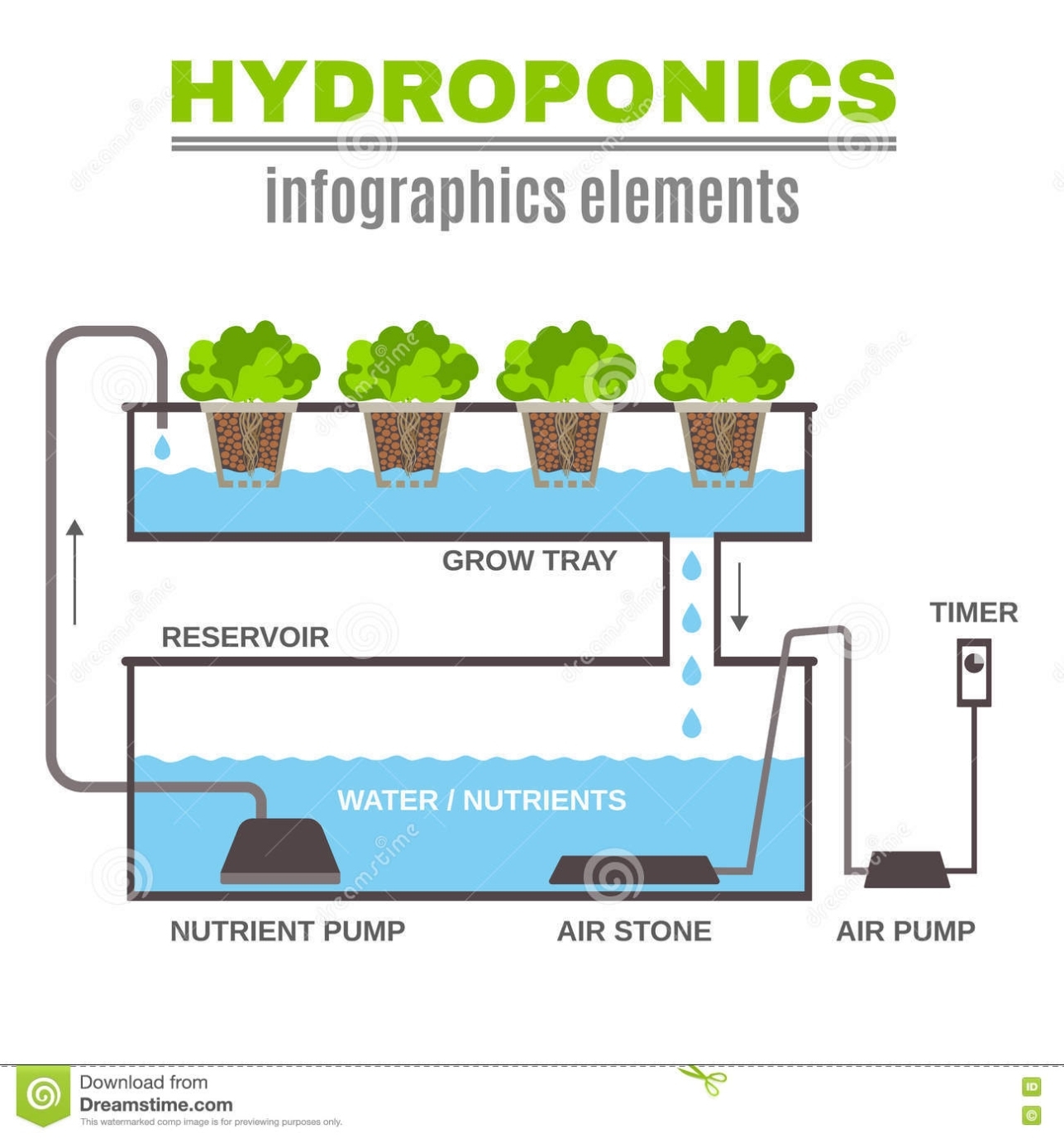 Hydroponic Design Illustration Cartoon Vector | Cartoondealer #74921209 For Aquaponics Business Plan Templates