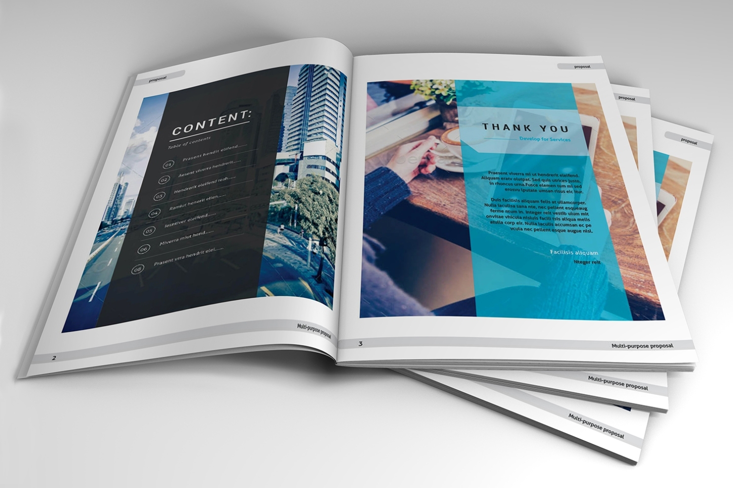 Indesign Business Proposal Template On Behance Intended For Business Proposal Template Indesign