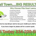 Lawn Care Business Plan Template Free Of 11 Lovely Lawn Care Business With Regard To Lawn Care Business Plan Template Free