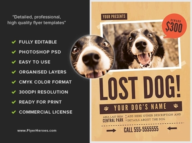 Lost Dog Flyer Template 1 – Flyerheroes Inside Lost Dog Flyer Template