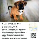Missing Pet Flyer Template – Cards Design Templates Throughout Lost Dog Flyer Template