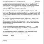 Non Compete Agreement Form – Emmamcintyrephotography Inside Camera Equipment Rental Agreement Template