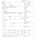 Nursing Report Sheet Template - Fill Online, Printable, Fillable, Blank in Legal Nurse Consultant Report Template