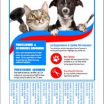 Pet Grooming Bulletin Board Flyer Templates Inside Bulletin Board Flyer Template