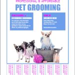 Pet Grooming Bulletin Board Flyer Templates Throughout Bulletin Board Flyer Template