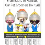 Pet Grooming Bulletin Board Flyer Templates Within Bulletin Board Flyer Template