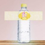 Printable Water Bottle Labels | Free & Premium Templates With Regard To Baby Shower Water Bottle Labels Template