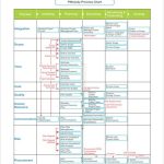 Process Chart Template – 9+ Free Pdf Documents Download | Free Within Business Process Design Document Template