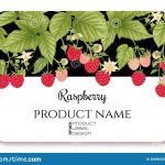 Raspberry. Ripe Berries On Branch. Template For Product Label Stock Throughout Food Product Labels Template