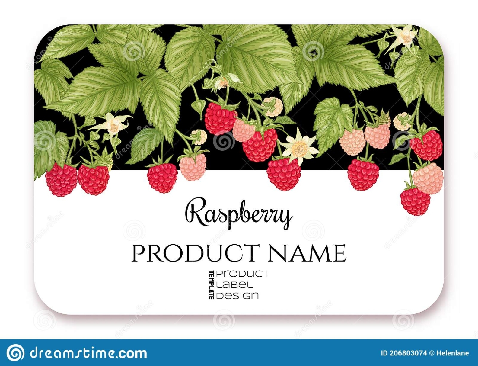 Raspberry. Ripe Berries On Branch. Template For Product Label Stock Throughout Food Product Labels Template