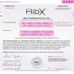 Rib X Pharmaceuticals, Inc. – Form S 1/A – Ex 4.1 – Form Of Common For Restricted Stock Purchase Agreement Template
