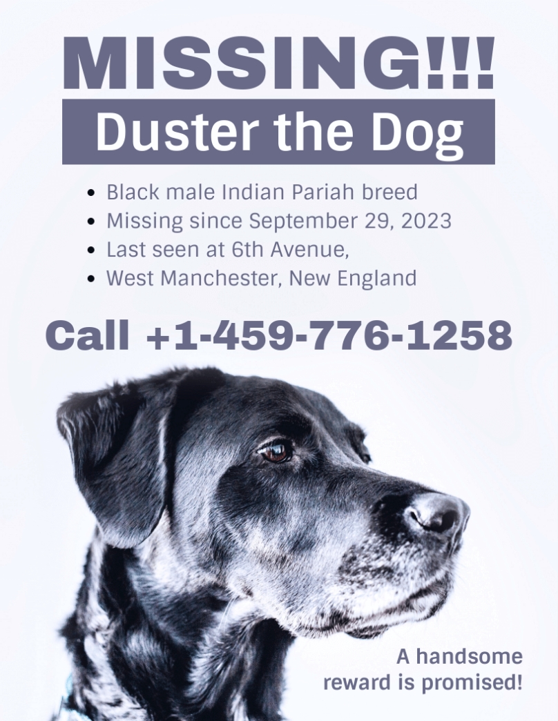Simple Missing Dog Poster Template With Regard To Lost Pet Flyer Template