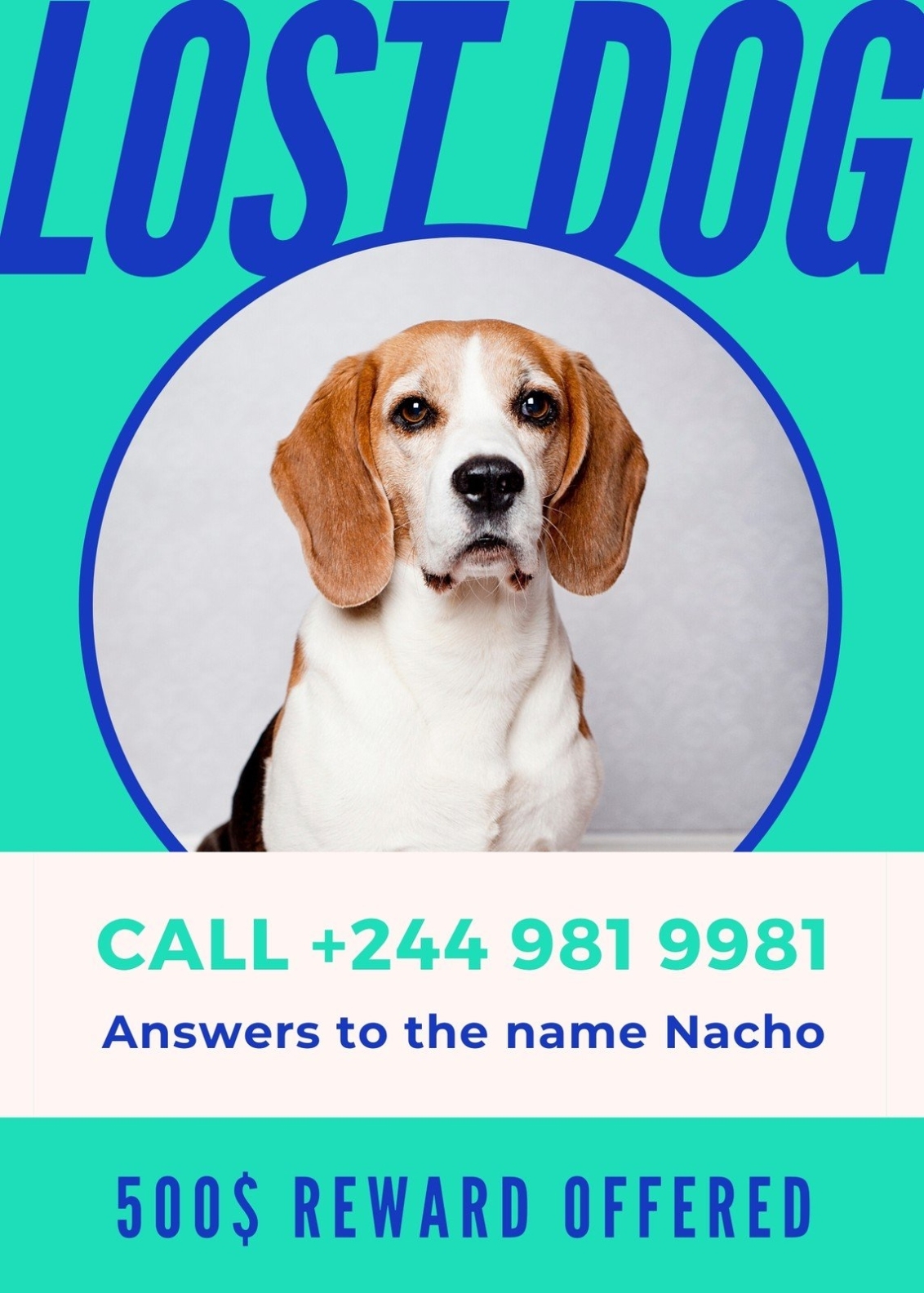 Solicitar Productos Desde El Extranjero Editable Missing Dog Flyer And Intended For Lost Dog Flyer Template