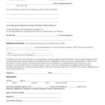 Temporary Custody Letter Template Examples – Letter Template Collection For Notarized Custody Agreement Template